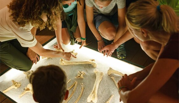 Daksy's nature workshop