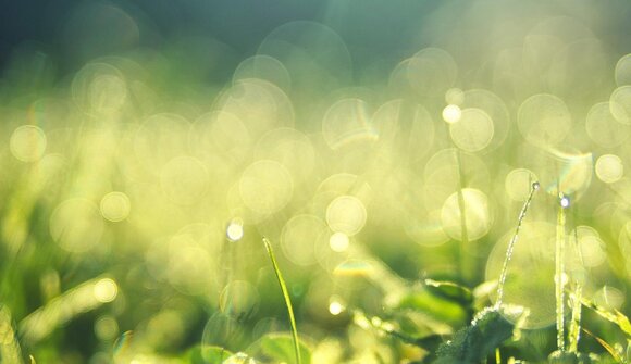 Atemübungen für Leib und Seele