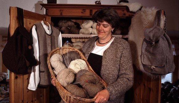 Visit at the Sheep wool museum