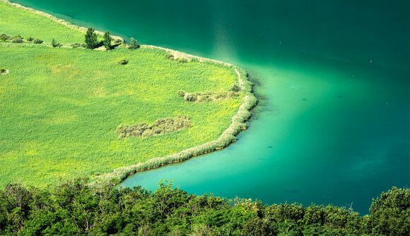 Guided tour of the natural reserve