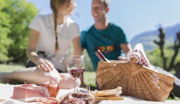 PicNic by Pfitscher