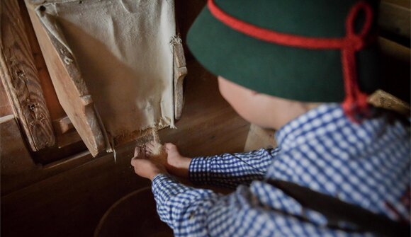Mill & visit of the farm museum