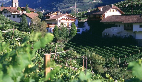 Kunst und Wein im Weingut Eberlehof
