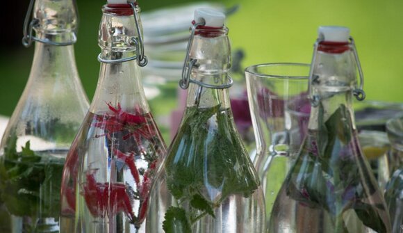 Kräuterlust - Kräuterwanderung