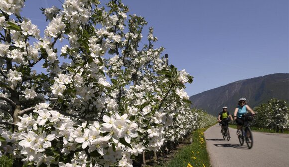 Con la e-bike nei dintorni di Andriano