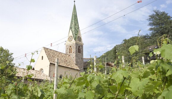 Visita guidata e degustazione vini