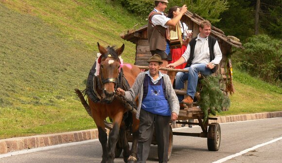Almabtrieb in Villnöss