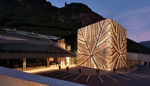 Kellerführung & Weinverkostung