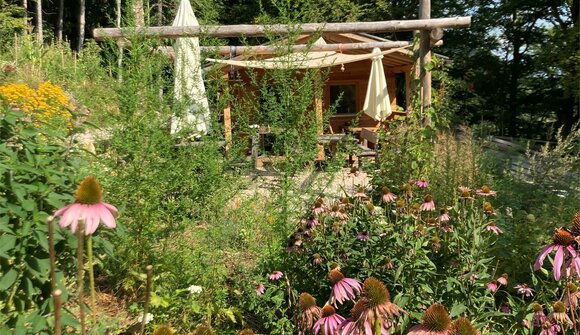 Tag der offenen Tür im Kräutergarten