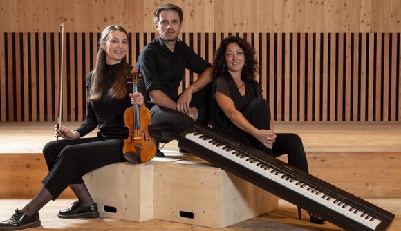 Castle concert: Trio Halma