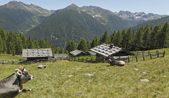 Geführte E-MTB Tour zur Kaserfeld Alm