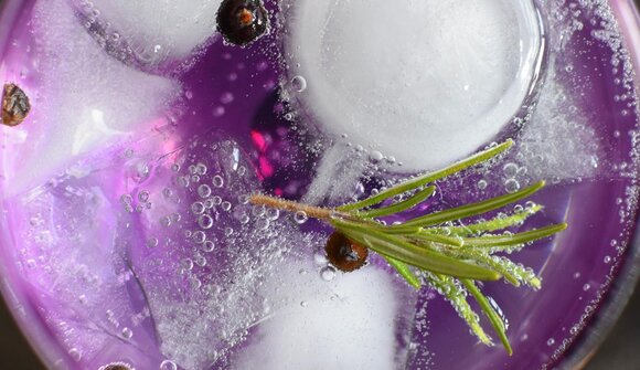 Degustazione di Gin con Helli Gufler