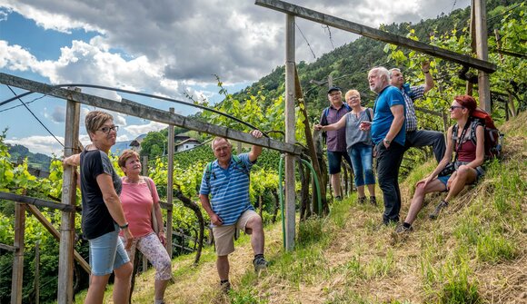 Guided walk with wine tasting