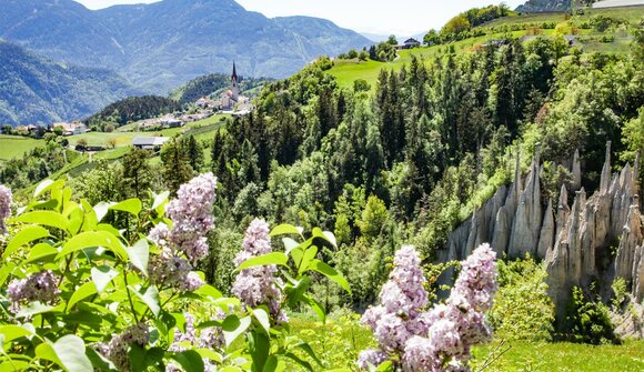 Escursione guidata: Renon