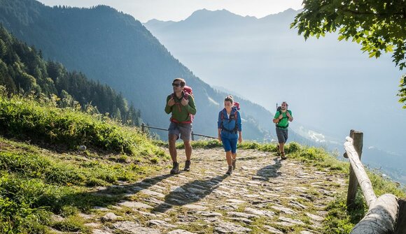 Geführte Gästewanderung: Cisloner Alm