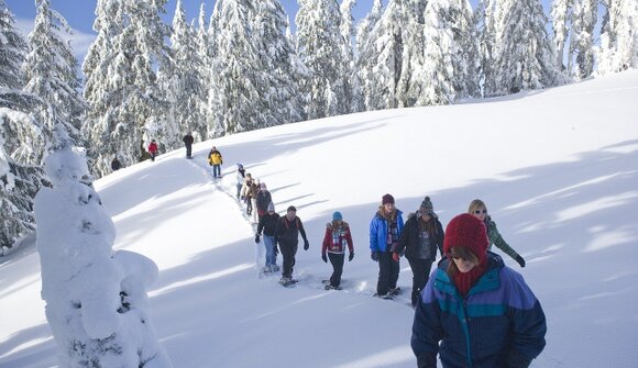 Schneeschuhwanderung - Haberberg