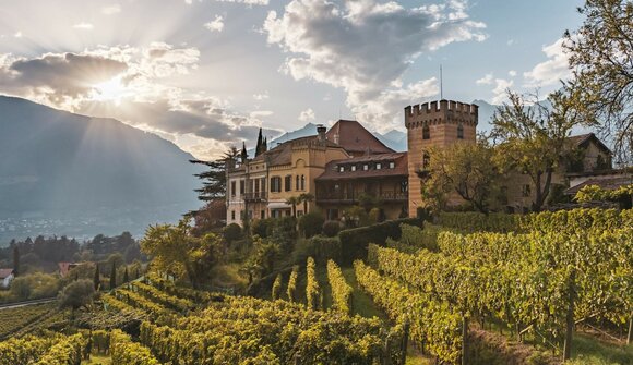 Wine tasting - Rametz Castle