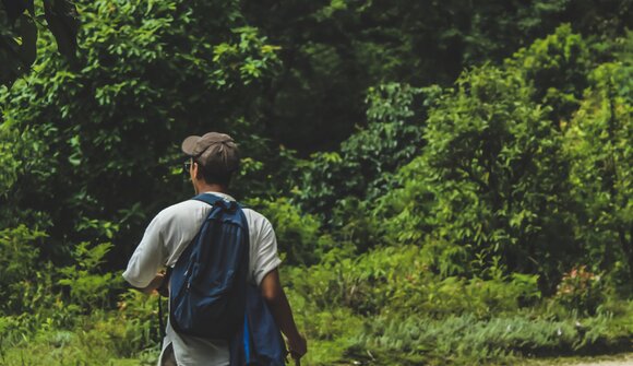 Escursione nella foresta e brughiera