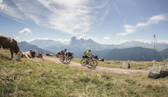 Tour con l’E-Bike all’Alpe Resciesa