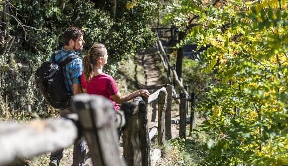 Wanderung am Vinschger Sonnenberg