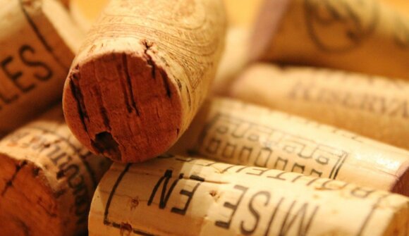 Weinhaus Tasting Ottobre