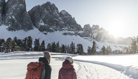 Snowshoe hike in the Plose area