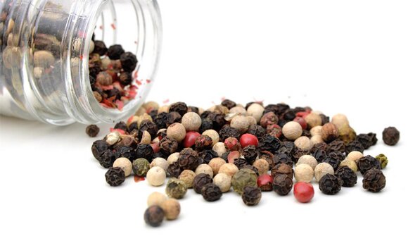 Ausstellungsreihe "Gewürze"