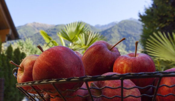 Silandro apple days