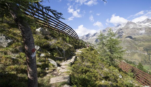 Gipfelwanderung zur Hofmannspitze