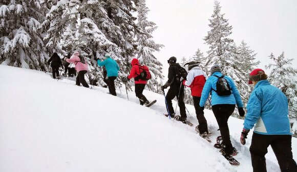 Guided winter hiking tour in Pertisau