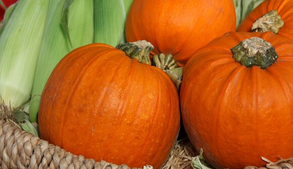 Festival della zucca a Levico Terme