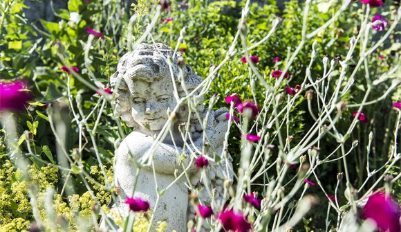 Wine & Art & Flower