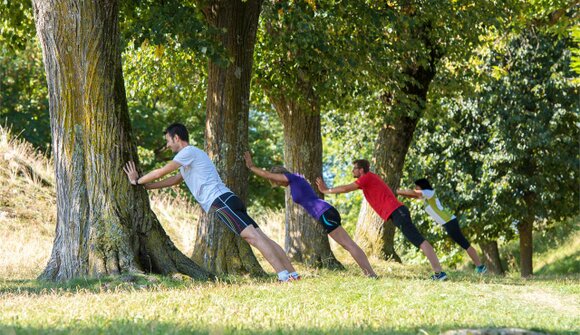 Bracing training in the wood