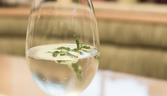 Gästebegrüßung mit Aperitif