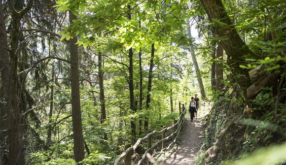 Wanderung im Südtiroler Unterland