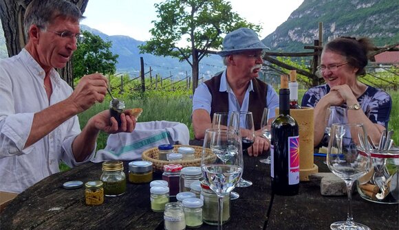 Wildkräuterführung mit Verkostung