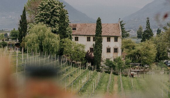 Garden tour with Wine tasting