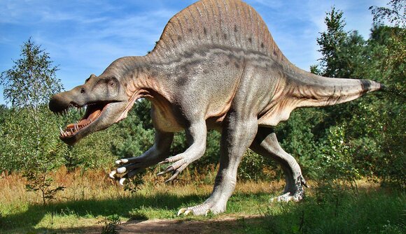 Dinosauri - giganti dei mari