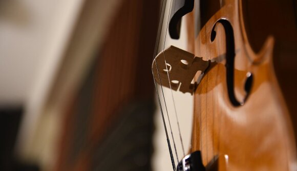 Concerto Orchestra Haydn