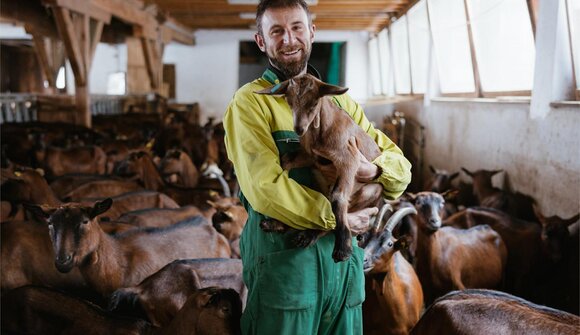 Ciores - A visit to the goat farm