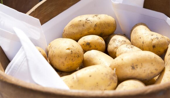 Culinary: Potato & Pumpkin Weeks