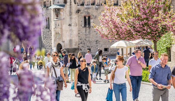 La primavera di Novacella