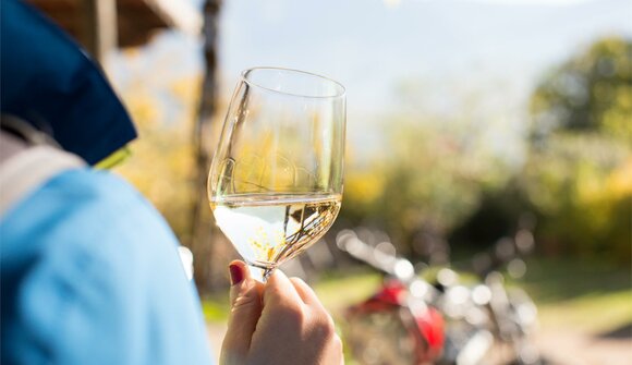Gourmet-E-Bike-Tour