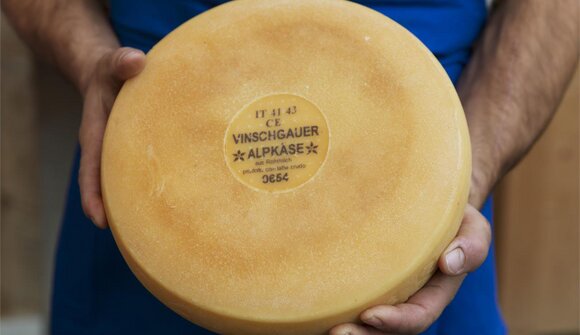 Degustazione formaggi malga Penaud