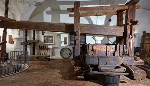 Guided tour through the Wine Museum