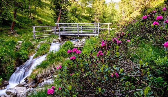 Hiker's bus: Villgratental Valley