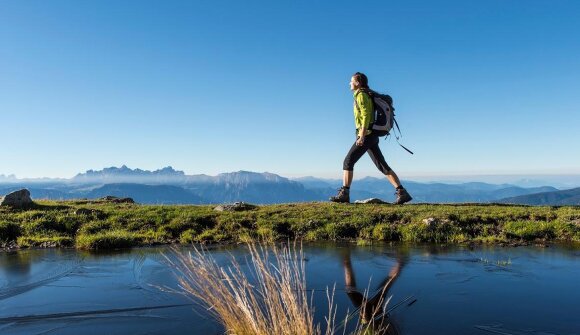 Walk guided in the mountains