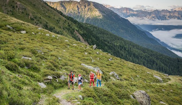 Alta Via „Bonner Höhenweg“
