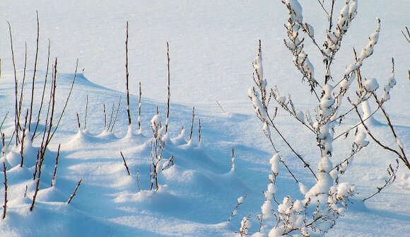 Schneeschuhwanderung zur Stumpf Alm