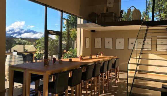 WineTalk - vino e arte culinaria